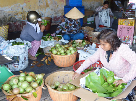 Một điểm thu muai vú sữa tại chợ trái cây Vĩnh Kim. Ảnh: Vân Anh
