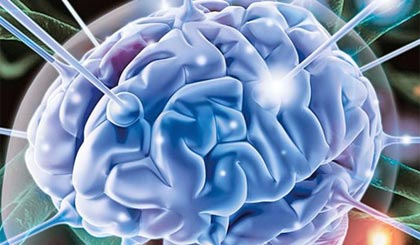 Nếu biết cách rèn luyện, não sẽ mãi trẻ trung. Ảnh: Reuters