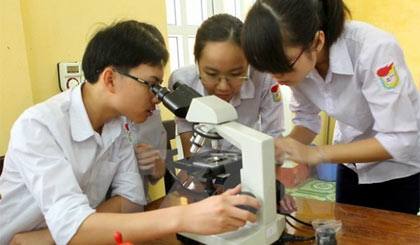 Giờ học thực hành của học sinh. Ảnh: Quý Trung/TTXVN