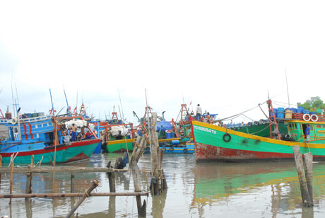 Đoàn tàu xuất bến vươn khơi.