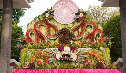 Tác phẩm “Hoàng Sa trong trái tim tôi”.