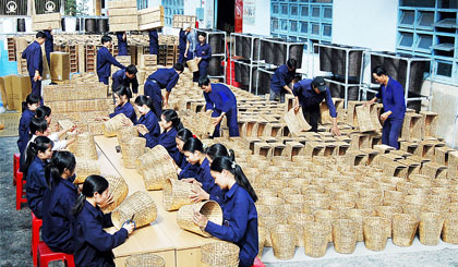 Xã viên HTX Quang Minh đang lao động sản xuất.