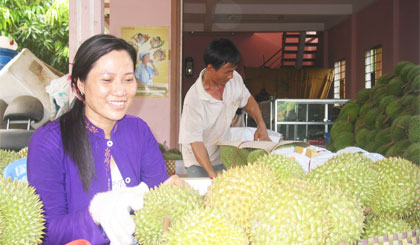 Một chủ vựa thu mua sầu riêng ở Ngũ Hiệp.