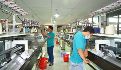 Hệ thống máy móc của HTX Chiến Thắng đã tự động hóa hoàn toàn.