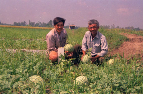 Dưa hấu Gò Công rất được người tiêu dùng ưa chuộng. Ảnh: Tư liệu