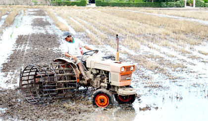 Sản xuất nông nghiệp chịu tác động lớn từ BĐKH.