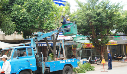 Công nhân Công ty Công trình đô thị TP. Mỹ Tho đang chặt đốn cây xanh ở vỉa hè phía Nam đường Ấp Bắc để trồng cây Bằng lăng.