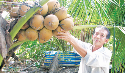Ông Trần Văn Nhâm bên thành quả lao động của mình. 