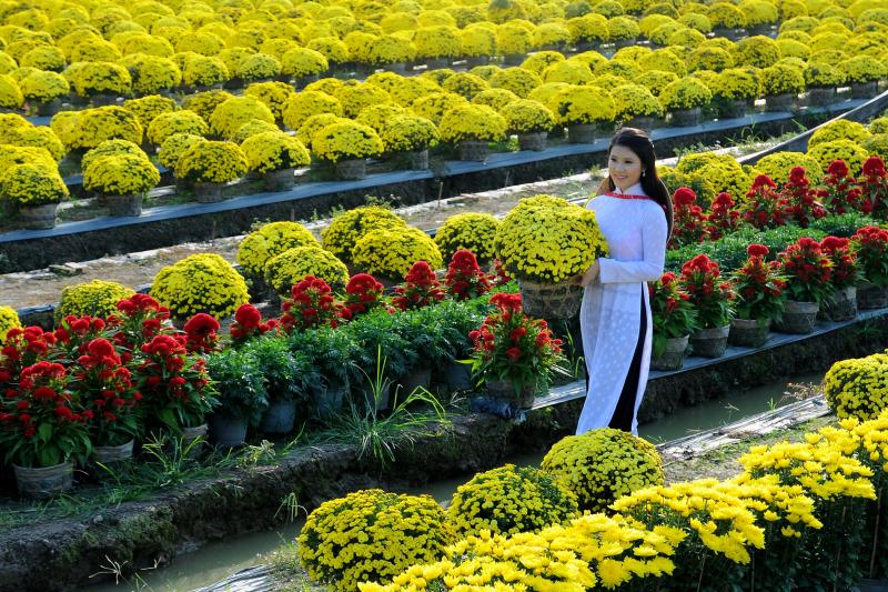Thư mời cộng tác Tạp chí Văn nghệ Tiền Giang Xuân Đinh Dậu - 2017