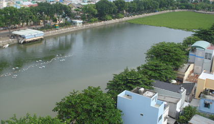 Cây xanh trồng quanh Công viên Tết Mậu Thân, TP. Mỹ Tho. Ảnh: HẠNH NGA