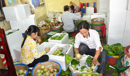 Sản phẩm nông nghiệp rất cần được xúc tiến quảng bá hình ảnh. Ảnh: Phương Anh