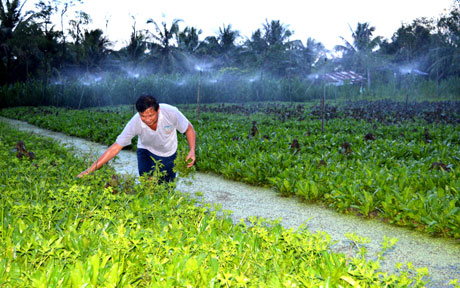 Nhà Văn hóa xã Trung An được đầu tư khang trang.