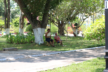 Nắng nóng gay gắt, oi bức làm cho nhiều người không thể ở yên trong nhà mà phải ra công viên “giải nhiệt” với “lưng trần” và “quạt tay”.