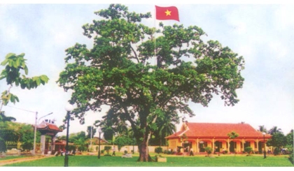 Đình Long Hưng, nơi xuất hiện lá cờ đỏ sao vàng lần đầu tiên trong khởi nghĩa Nam kỳ