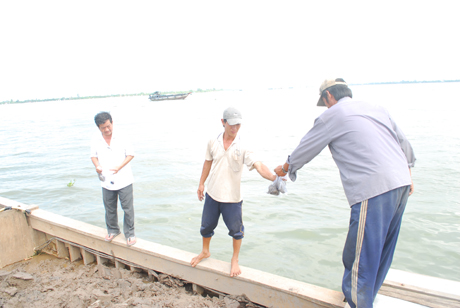 Lấy mẫu cát để tiến hành niêm phong.