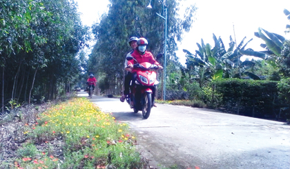 Ra mắt mô hình "Đoạn đường hoa"