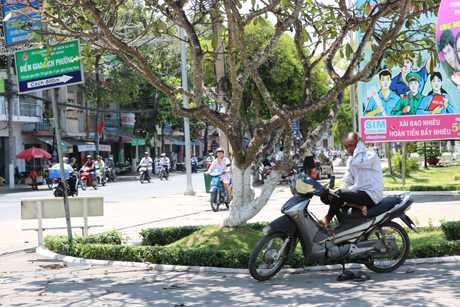Những bác tài “xe ôm” cũng phải tìm bóng mát để “trốn” cái nắng oi bức của mỗi trưa.