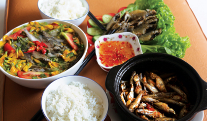 Cá linh - món ăn "thương nhớ" mùa nước nổi