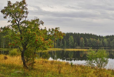 duong4-jpg-1360252225-500x0-jpg-13602928