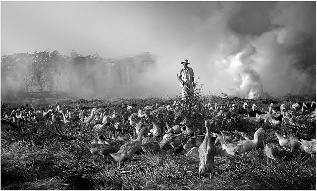 Mùa chạy đồng - KK - Phan Hiền (An Giang) Mùa chạy đồng - KK - Phan Hiền (An Giang)