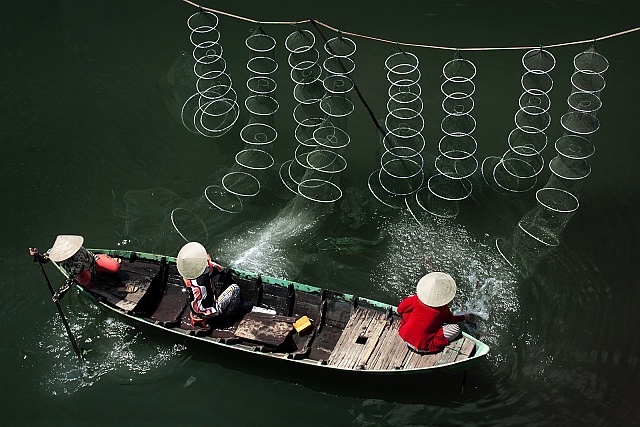 Nhịp điệu - KK - Nguyễn Anh Tuấn (Kiên Giang) Nhịp điệu - KK - Nguyễn Anh Tuấn (Kiên Giang)