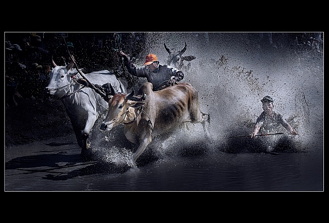 Phút quyết định - HCĐ - Nguyễn Hoàng Nam (An Giang) Phút quyết định - HCĐ - Nguyễn Hoàng Nam (An Giang)