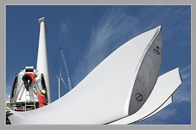 Vươn cao đón gió - Lâm Thanh Liêm tình Bạc Liệu Vươn cao đón gió - Lâm Thanh Liêm tình Bạc Liệu