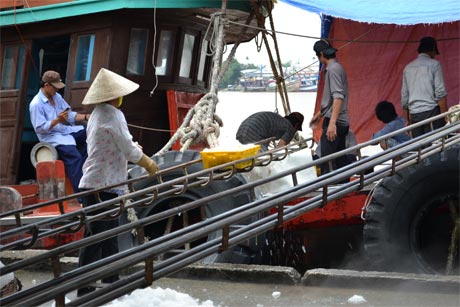 Vận chuyển đá xuống tàu cá chuẩn bị ra khơi sau kỳ nghỉ Tết Nguyên đán tại Cảng cá Mỹ Tho. Ảnh: Vân Anh