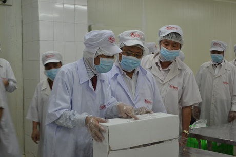 Đoàn cán bộ Thành ủy TP. Hà Nội và lãnh đạo tỉnh tham quan qui trình chế biến cá basa xuất khẩu của Công ty cổ phần Gò Đàng.