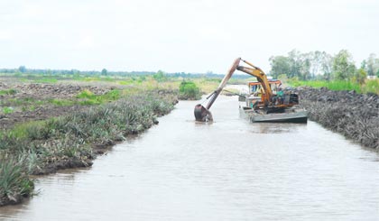 Gia cố đê bao để bảo vệ khóm.