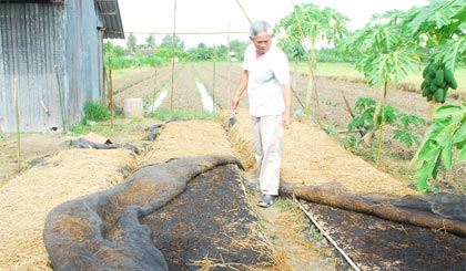 Ông Nguyên mua 18 tép hạt giống ớt về ươm mà không lên 1 hạt.