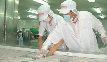 Dây chuyền chế biến của GODACO.