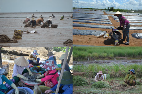 Ảnh minh họa. Ảnh: Như Lam