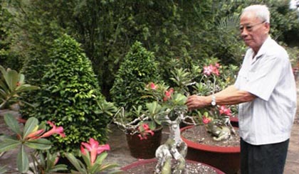 Trung tướng Nguyễn Văn Thạnh vui thú tuổi già với cây kiểng.