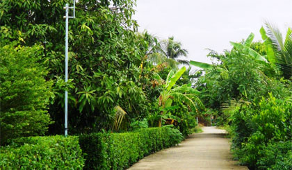 Mô hình“Tuyến đường thắp sáng” ở ấp 2, xã Thạnh Lộc.