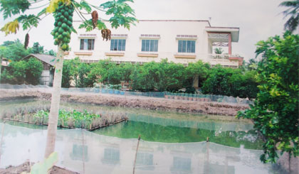 Cơ ngơi của bác Hai Liêm là khu nhà “hoành tráng” cạnh ao cá có hàng rào cây xanh hữu tình.