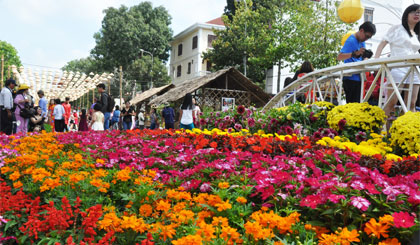 Làng hoa Mỹ Tho đóng góp nhiều loại hoa đẹp cho đường hoa Hùng Vương Xuân Ất Mùi 2015.