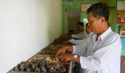 Các thành viên Tổ thuốc Nam từ thiện xã Mỹ Thành Nam chuẩn bị nguồn thuốc điều trị bệnh nhân.