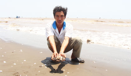 Nghêu chết gây thiệt hại lớn cho bà con ngư dân.