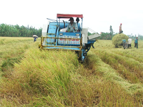Hình thành những vùng chuyên canh sản xuất nông nghiệp.