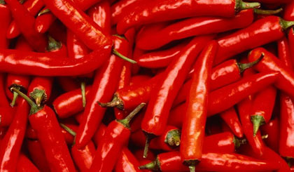 Ảnh minh họa. Nguồn: ahaonline.cz