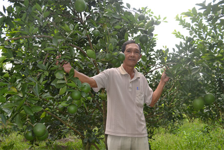 Nông nghiệp công nghệ cao sẽ được ưu tiên phát triển.