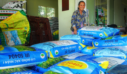Điểm bán lúa giống tại xã Phú Nhuận, huyện Cai Lậy vựa rất nhiều giống IR 50404.