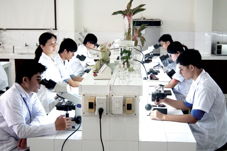 Sinh viên thực hành thí nghiệm.