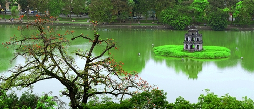 4-Mua-hoa-gao-Xuan-Chinh-1377159350.jpg