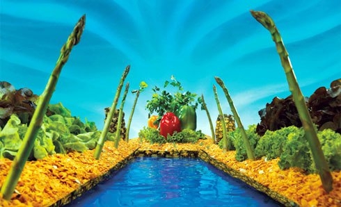 The River Đặc trưng của Vietnam là có rất nhiều những dòng song nhỏ, kênh, cắt ngang trãi dài khắp đất nước. Chúng tạo nên những ấn tượng khác nhau và với mình thì đó là những ấn tượng ko thể nào quên. Mỗi ngày chạy xe trên đường chỗ nào mình cũng bắt gặp những cây cột điện hai bên đường và từ đó thì song và cột điện dần hiện diện trong bức ảnh này. Và những hang rau hai bên như những ngôi nhà lụp xụp, rồi xa xa là 1 thành tựu, 1 cái gì đó lớn lao. Thành phần: - Xà lách - Măng Tây - Ngũ Cốc - Ớt xanh, đỏ, vàng - Dứa