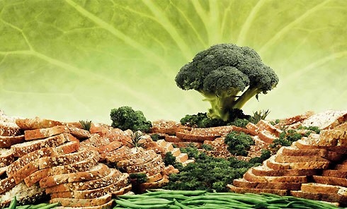 Terraces Vietnam nổi tiếng với nghề trồng lúa trên núi hay thường gọi là ruộng bậc thang.Xếp những mẫu bánh mì sandwich chồng chất và lệch nhau sẽ tạo nên được sự giống nhau của ruộng bậc thang. Thêm vào đó là lồng cải xanh để cho cảnh vật được sống động hơn và không khô khan như bánh mìThành phần: - Bánh mì x10 - Bông cải xanh - Đậu que xanh - Cải tây - Bắp cải xanh